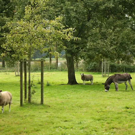Semesterbostad Rural In Former Stables *