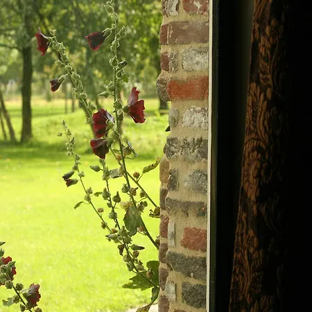 Rural In Former Stables